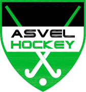 Logo hockey copie