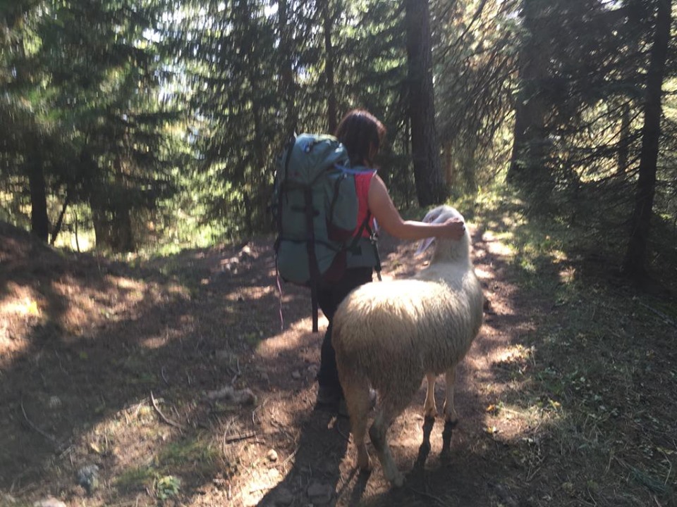 Randonnée en Dolomites bis (15)