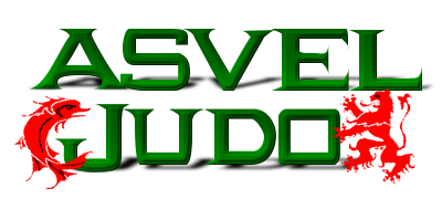 Logo asvel judo