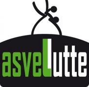 Logo asvel lutte rvb